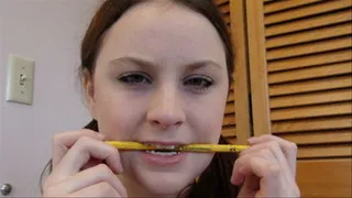 Manta Raye Pencil Chewing1