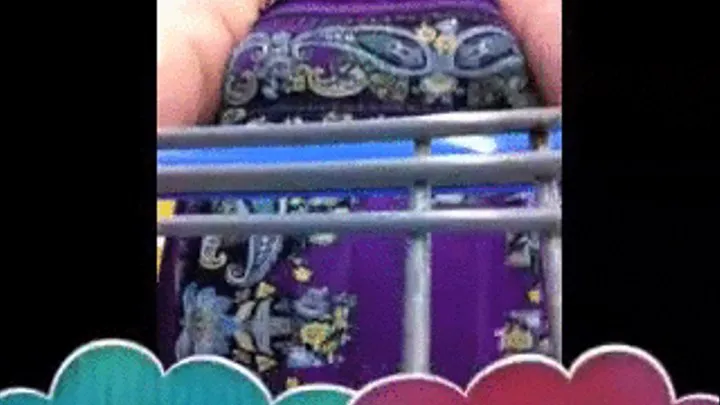 BBW Dollie Walmart Shopping Part 1