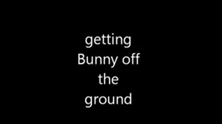 Bunny off the ground