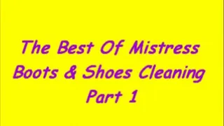 The Best Of Mistress Boots & Shoes Cleaning Part 1