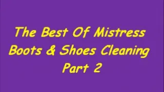 The Best Of Mistress Boots & Shoes Cleaning Part 2
