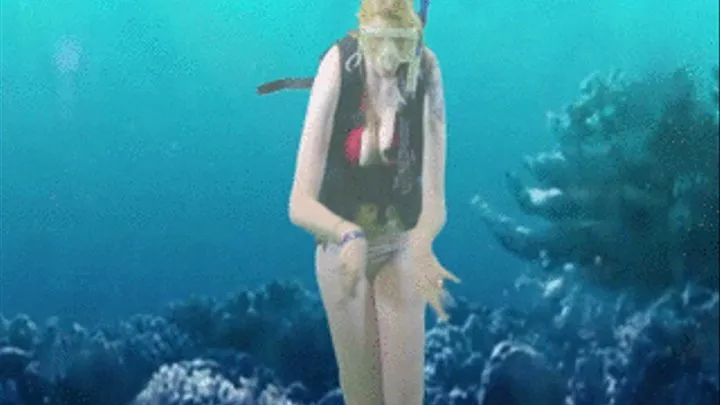 Scuba Face Sitting leads to Shark attack