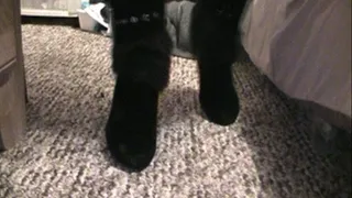 Cum 'FUCK ME' boots.