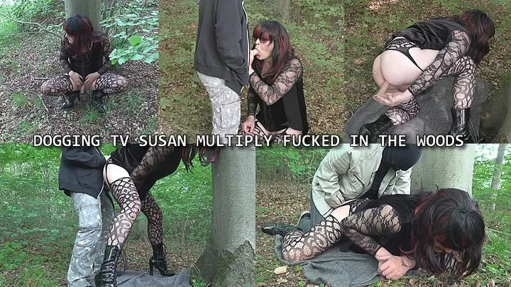 Dogging tranny slut used in the woods