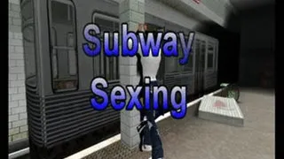 Subway Sexing