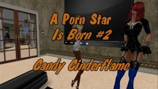 A Porn Star Is Porn #2