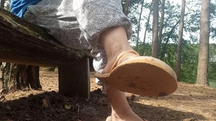 Fantasy of a slave cleaning my dirty feet in nature