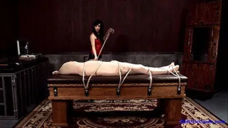 Mistress Mina's Bound Bitch Part 3