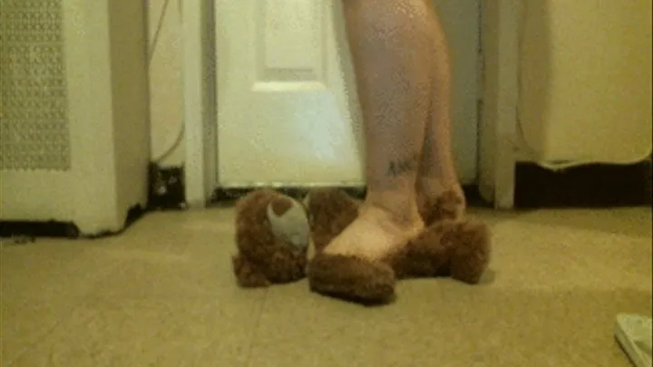 Teddy bear trample