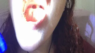 Mouth illuminated by a torch