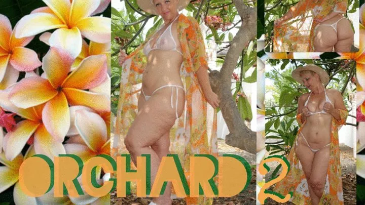 Orchard II: Teeny Bikini & Sheer COVERup