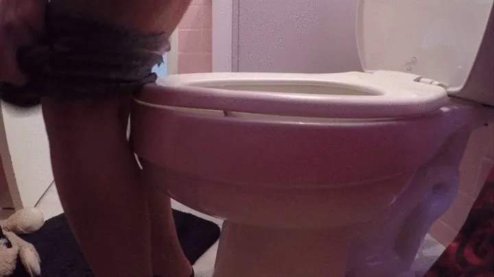 CLose up On the side of my TOILET HUMILIATION