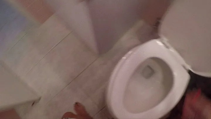 Diarrhea girl describes the total toilet humiliation through every push and liquid fart