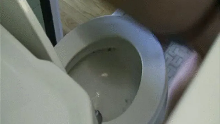 Back og the toilet view qith DIarrhea Girls TOILET FETISH pooing