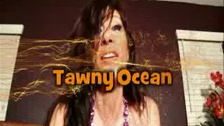 TAWNY OCEAN GIVES DIAMOND LOU HEAD