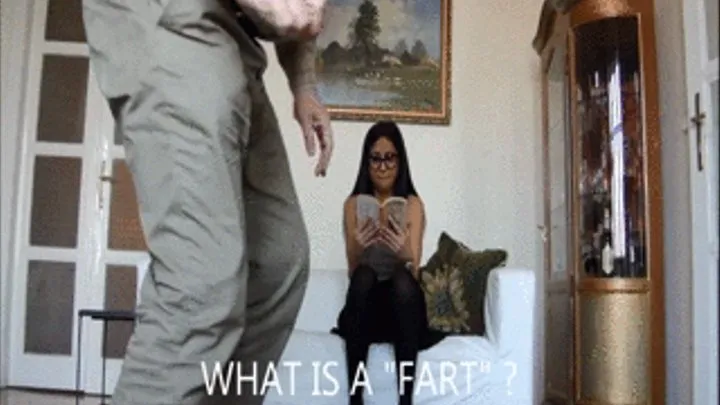 WHAT IS A "FART" ?