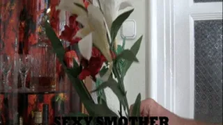 SEXY SMOTHER - iPhone and