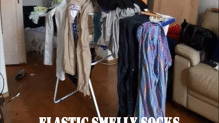 ELASTIC SMELLY SOCKS - 960x540