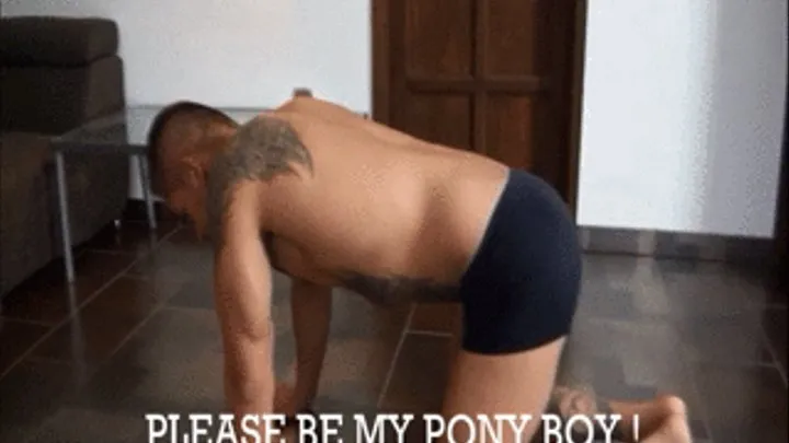 PLEASE BE MY PONY BOY!