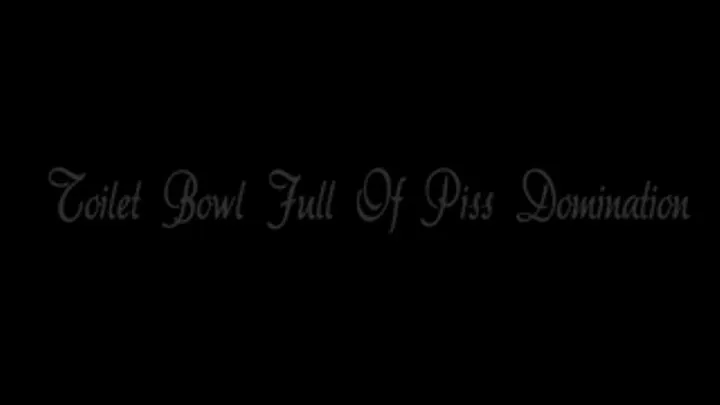 Toilet Bowl Full Of Piss Domination