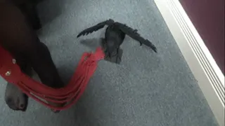 Raven Showing Her Sheer Pantyhose Part 4