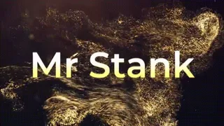 Mr Stank