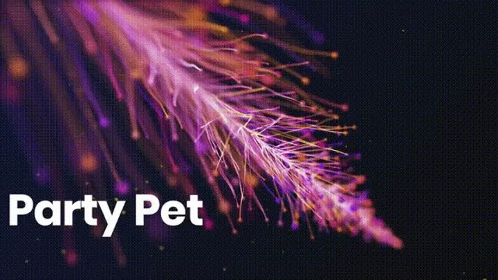 Party Pet