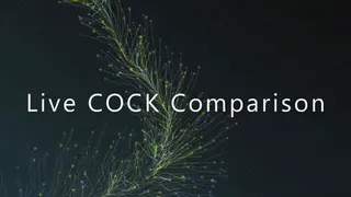 Live Cock Comparison