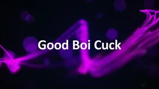 Good Boi Cuck