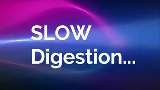 Slow Digestion