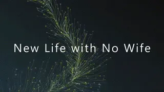New Life with No Wife