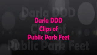 BBW Model Darla DDD Size 10 Plump Foot Massage in the Park Cell Vid