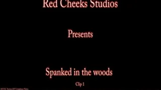 Spanked in the Woods Clip1