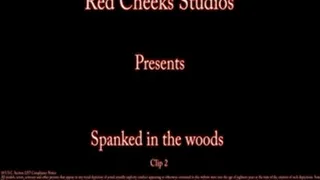 Spanked in the Woods Clip2