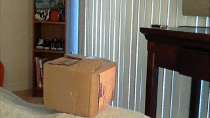 An Interesting Package Arrives