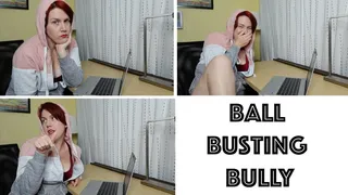 Ball Busting Bully