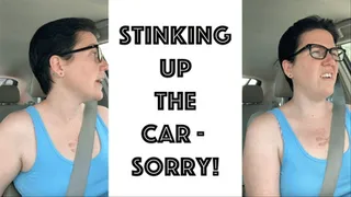 Stinking Up The Car