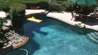 Nine girl poolside lesbian orgy