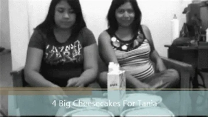 4 big cheesecakes for Tania