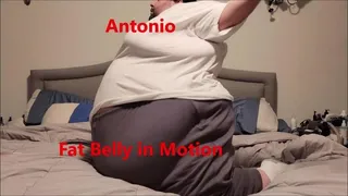 Antonio Fat Belly in Motion