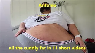 Antonio All the cuddly fat in 11 short Videos