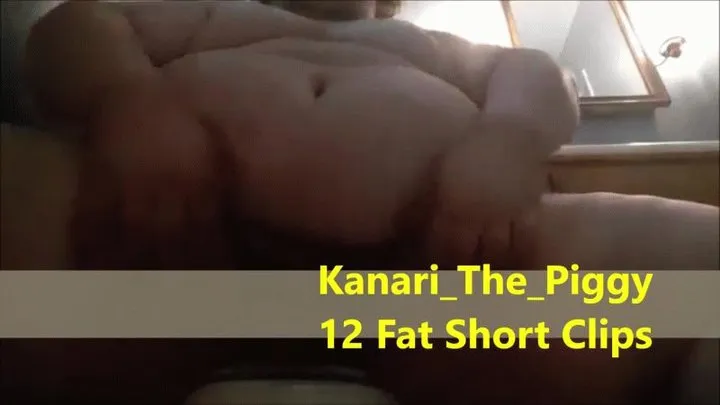 Kanari The Piggy 12 fat short Clips
