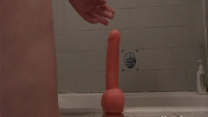 Bathroom Dildo Ride