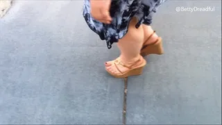 Walking in Wedges