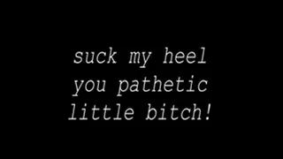 suck my heel you pathetic little bitch!