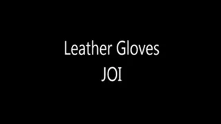 Leather Glove JOI