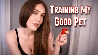 Training My Good Pet