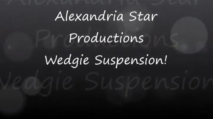 WEDGIE SUSPENSION