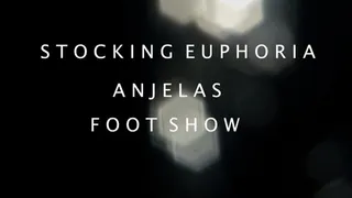 Angela's Stocking Show
