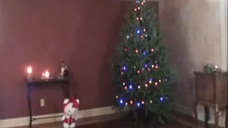Adriana: Decorating the Christmas Tree